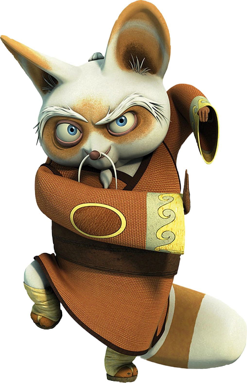 Мастер фишу конг фу панда. Кунфу панда мастер шифу. Кунг фу панда шифу. Мастер из кунг фу панда. Кунгфу фанта мастер шифу.