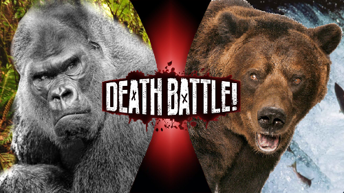 silverback gorilla vs grizzly bear size comparison