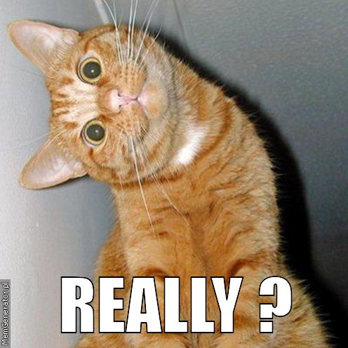 Cat Dog Mouse Meme Cat Dog Mouse Meme