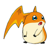 patamon patamon
