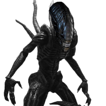 Xenomorphs Death Battle Fanon Wiki Fandom
