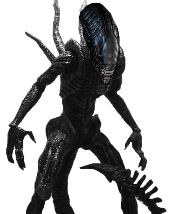 Xenomorphs Death Battle Fanon Wiki Fandom