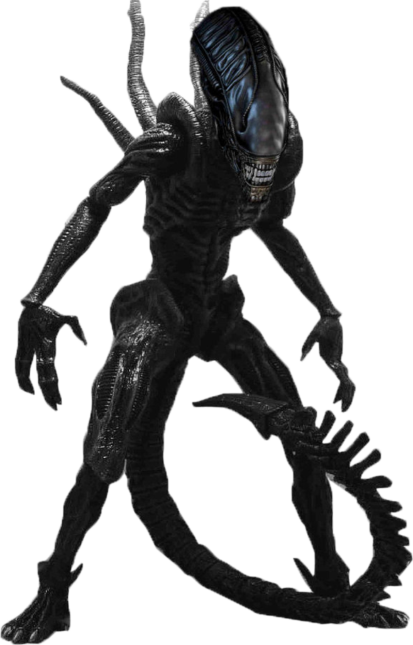 Alien Xenomorph Wiki