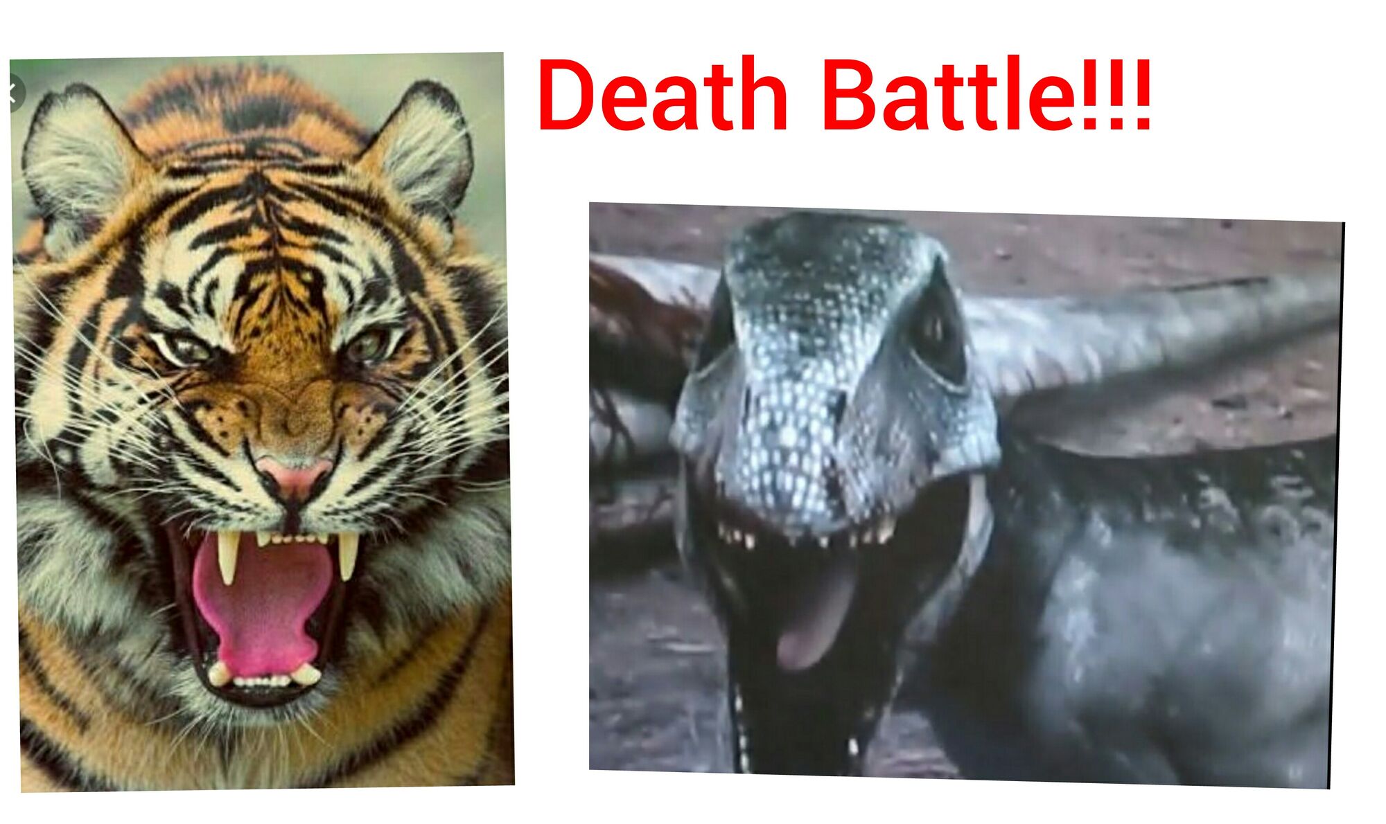 Tiger (Animal Faceoff) vs Deinonychus (Jurassic Fight