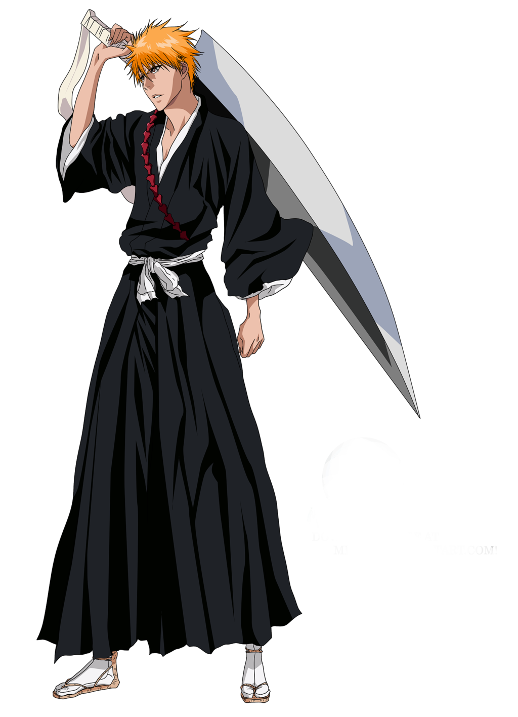 ichigo kurosaki shinigami