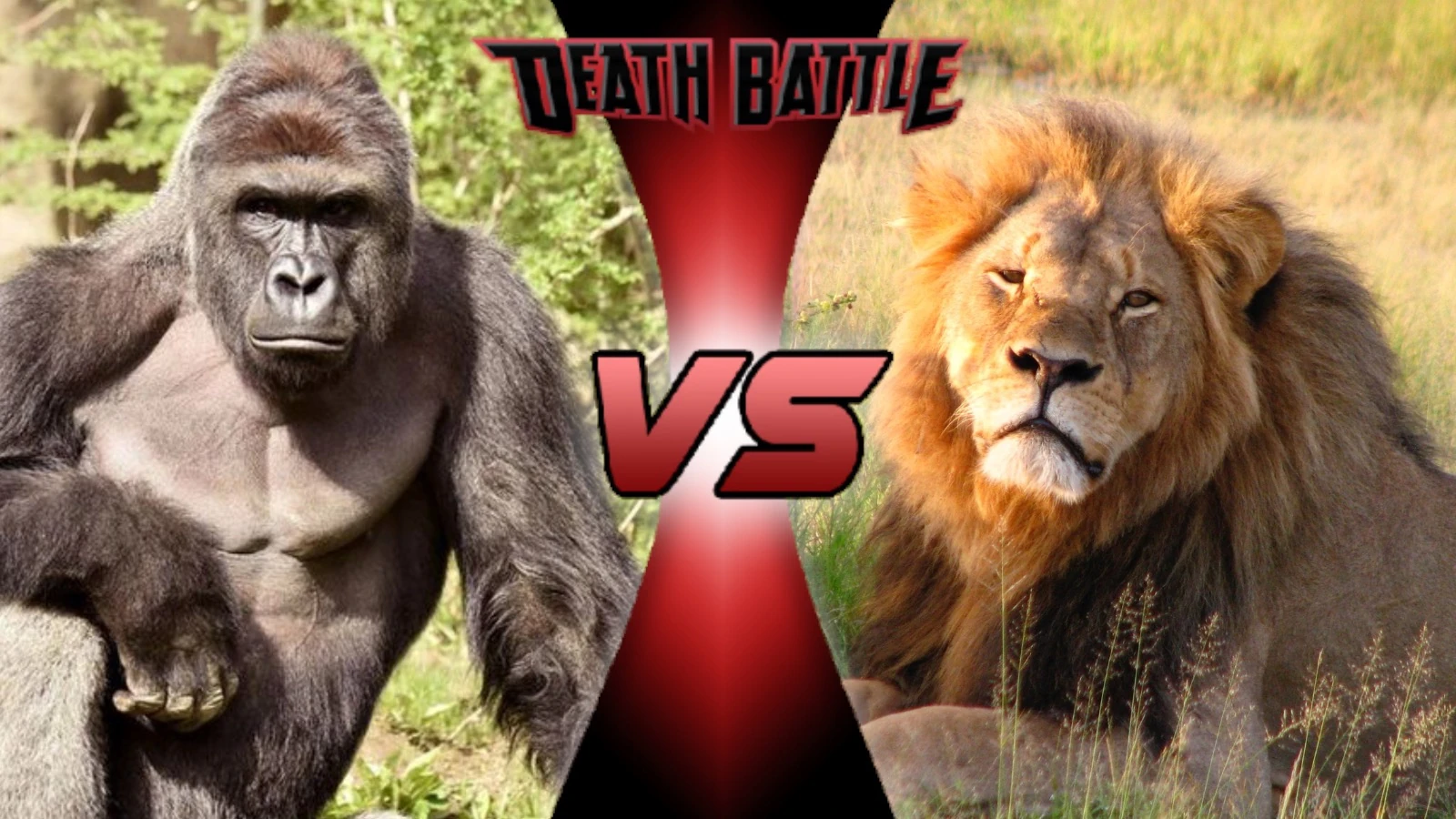 Image Harambe vs Cecil.jpeg Death Battle Fanon Wiki