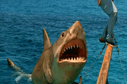 Jaws revenge-shark