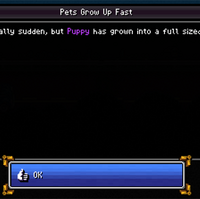 Pets Death Road To Canada Wiki Fandom