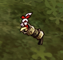 Chicken cannon