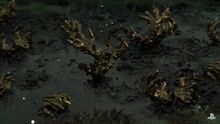 Chiralium