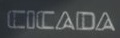 Cicada logo