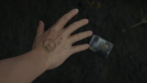 Sam Timefall