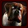 Zombie Warg