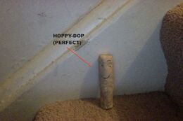 Hoppy dop.