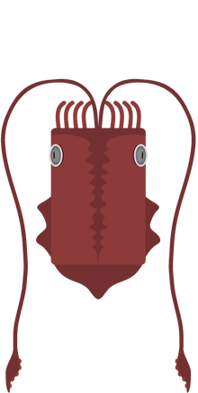 Giantsquid