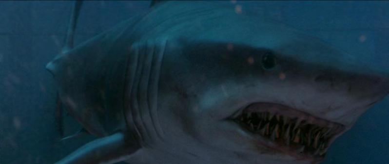 deep blue shark dead