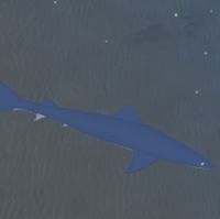 Shark Deep Ocean Roblox Wiki Fandom