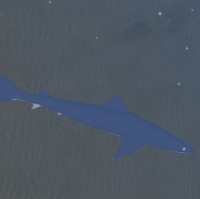 Shark Deep Ocean Roblox Wiki Fandom