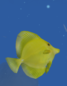 Yellow Tang Deep Ocean Roblox Wiki Fandom - roblox coral reef