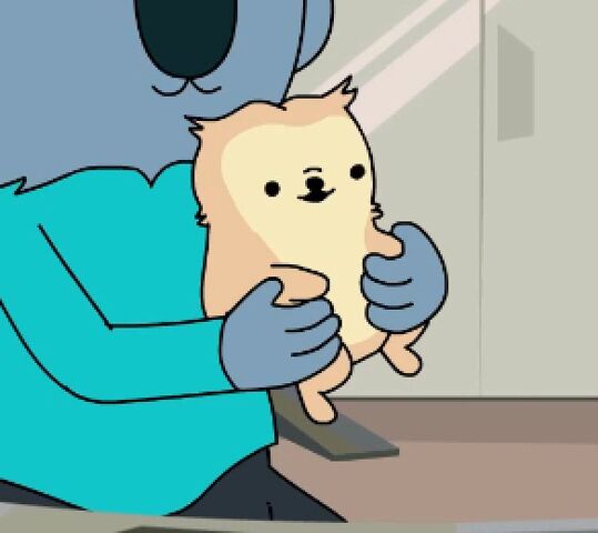 File:Puppy.jpg
