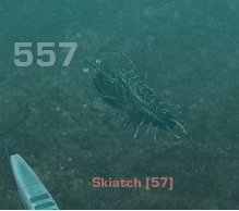 Skiatch