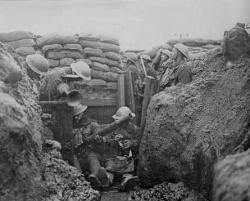 250px-Trencheswwi2