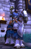 Knight Mallucis