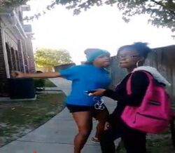 Sharkeisha 2