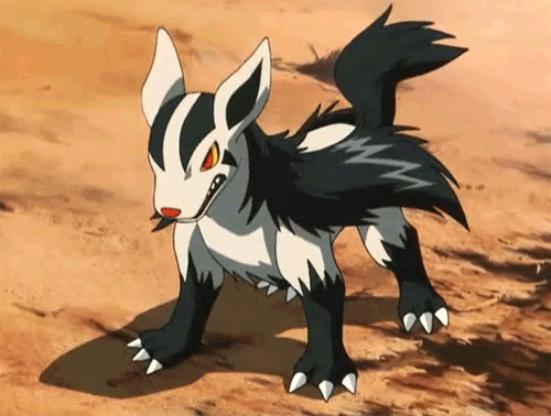 Image result for Mightyena gif