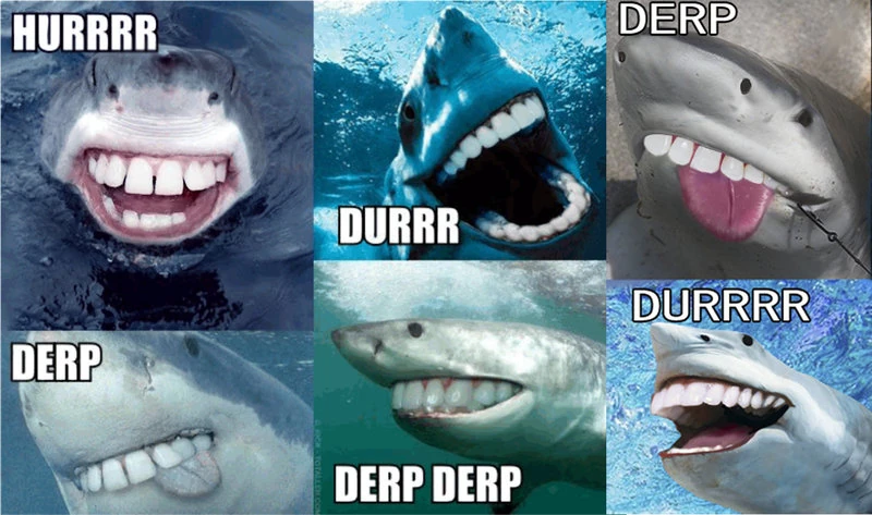 latest?cb=20111125105417