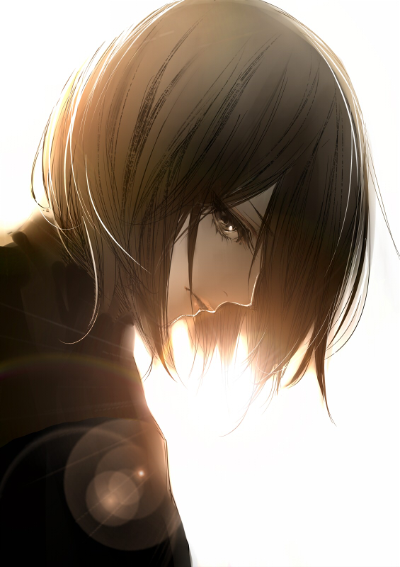 Resultado de imagem para mikasa ackerman