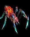 Spider grownup