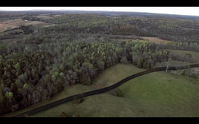 Thewilds