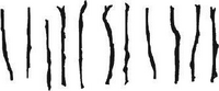 Eleven sticks