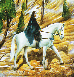 Horse