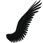 Evilrelease