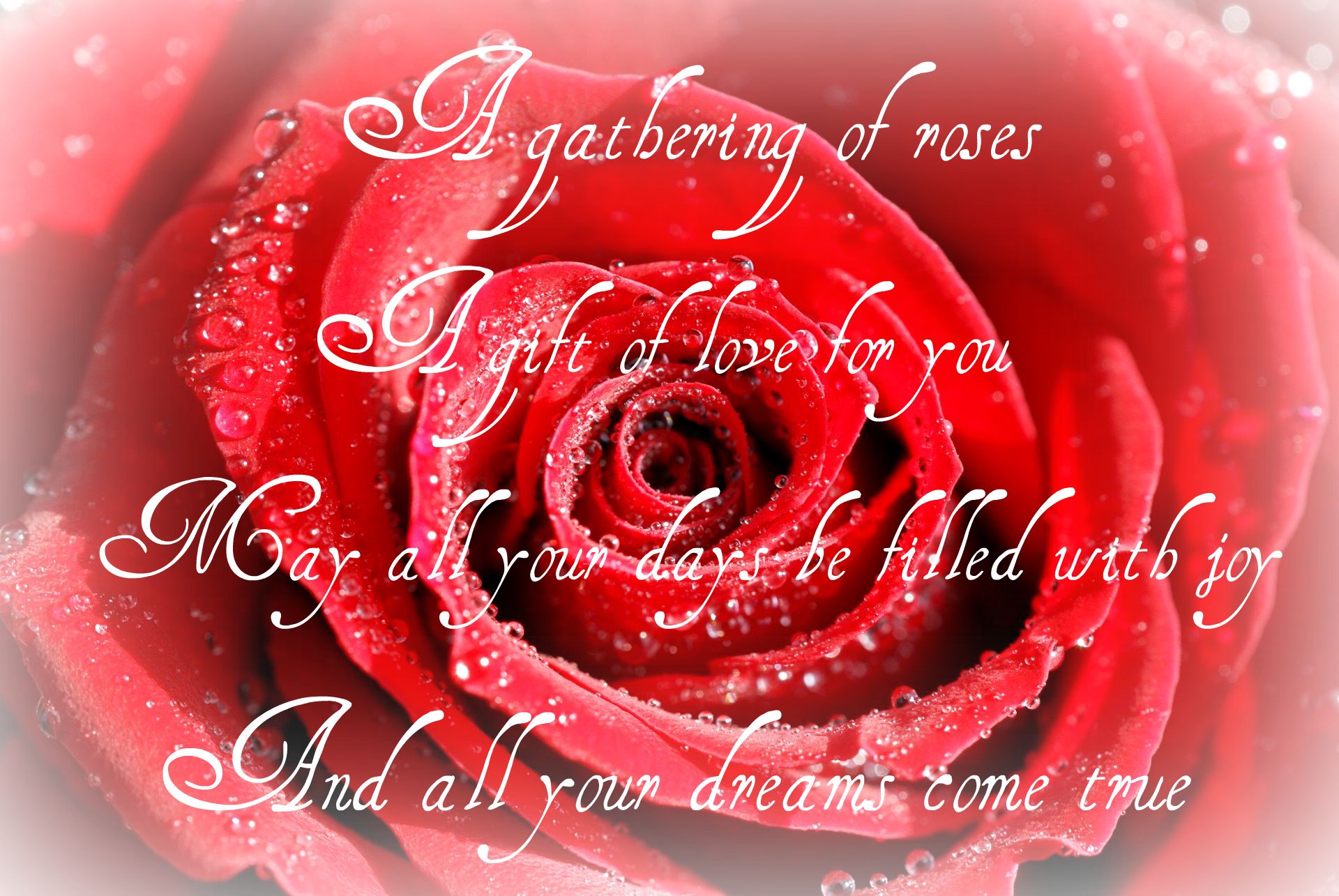 image rose poem jpg demigods haven wiki fandom powered by wikia