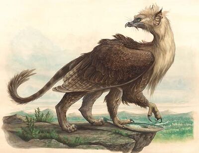 Griffin