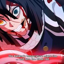 Demon Slayer Pillar Demon Slayer Burning Ashes Wiki Fandom