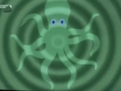 Octopusssss
