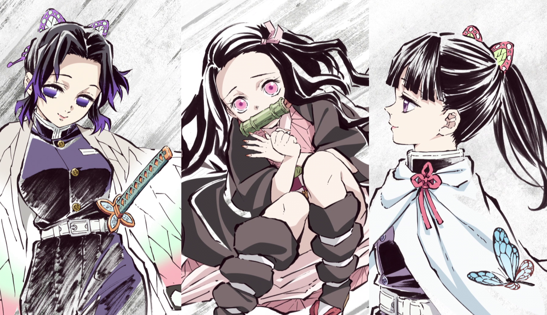 Rehabilitation Training Arc | Demon Slayer: Kimetsu no Yaiba Wiki | Fandom