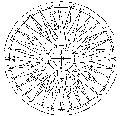 T1