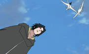 SasukevsDeidara-v