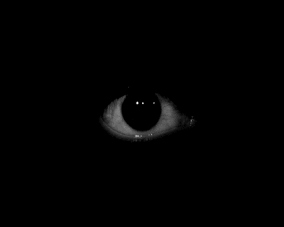 Auge