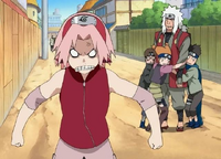 Sakura Sauer