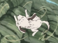 Dainamikku maakingu