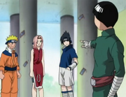 Sasukenarusakulee
