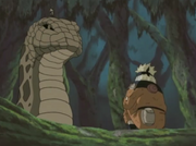 Naruto vs oro
