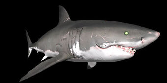 Shark Species Depth Wiki Fandom - survive the shark eater in roblox