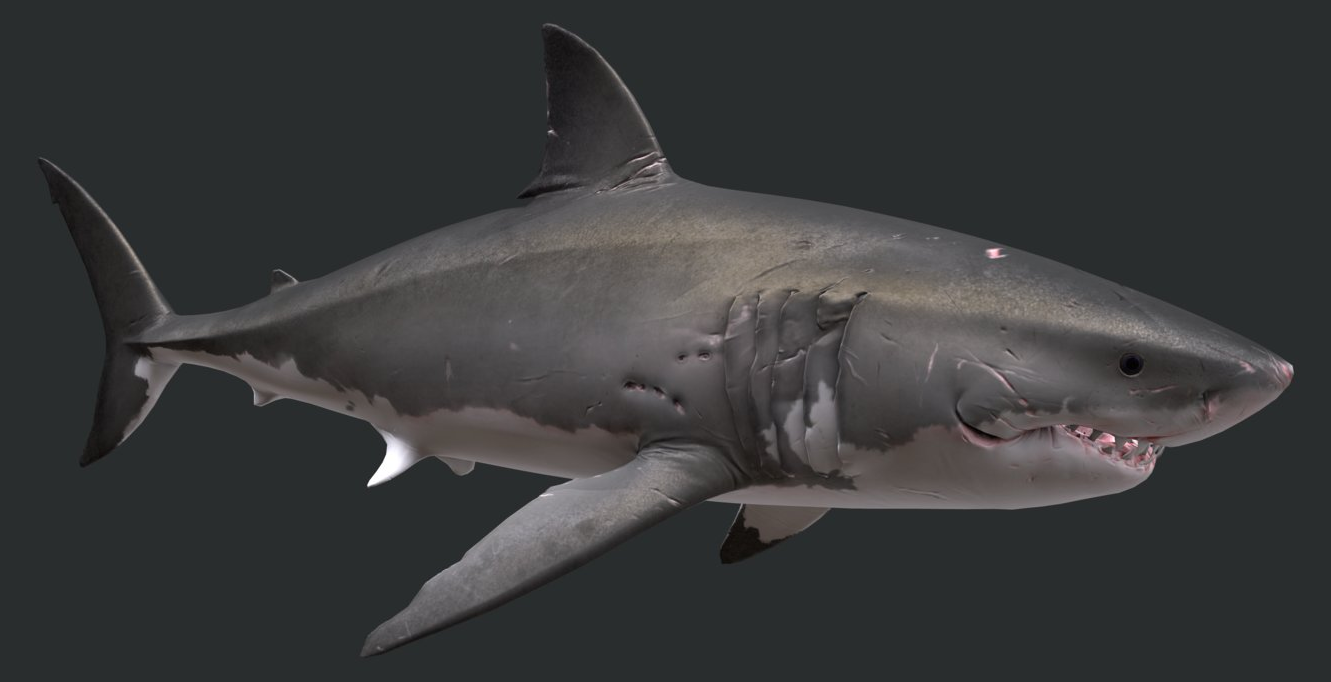 Great White | Depth Wiki | Fandom